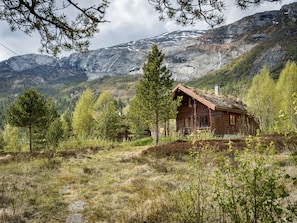 Ulkopuoli