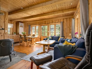 TV, fireplace, DVD player