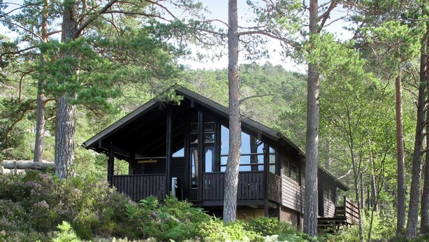 A cabin with a porch, surrounded by dense forest. - Sandvikfjellet by Interhome (Eikefjord)