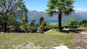 A view of a garden with a palm tree, a stop sign, and a mountain in the background.