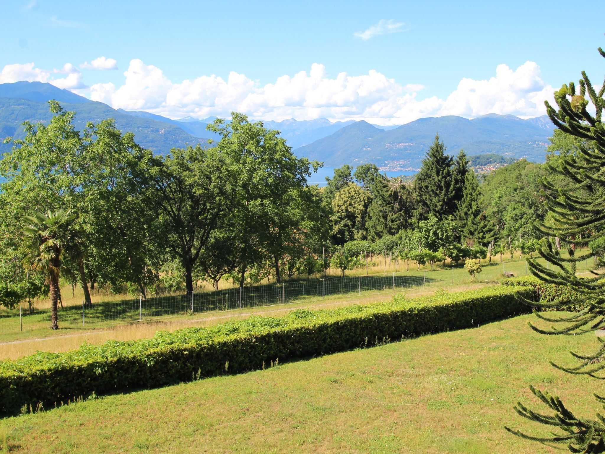 Parco della struttura