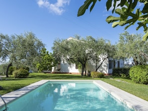 Pool - Alberto by Interhome (Diano Marina)