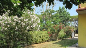 A garden with various flowering plants and a paved path. - Veronica by Interhome (Lido di Volano)