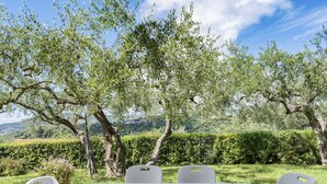 An outdoor patio with a table and chairs, surrounded by trees and a view of a vineyard and hills. - Alberto B by Interhome (Diano Marina)