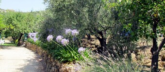 Ivano (PGI125) by Interhome