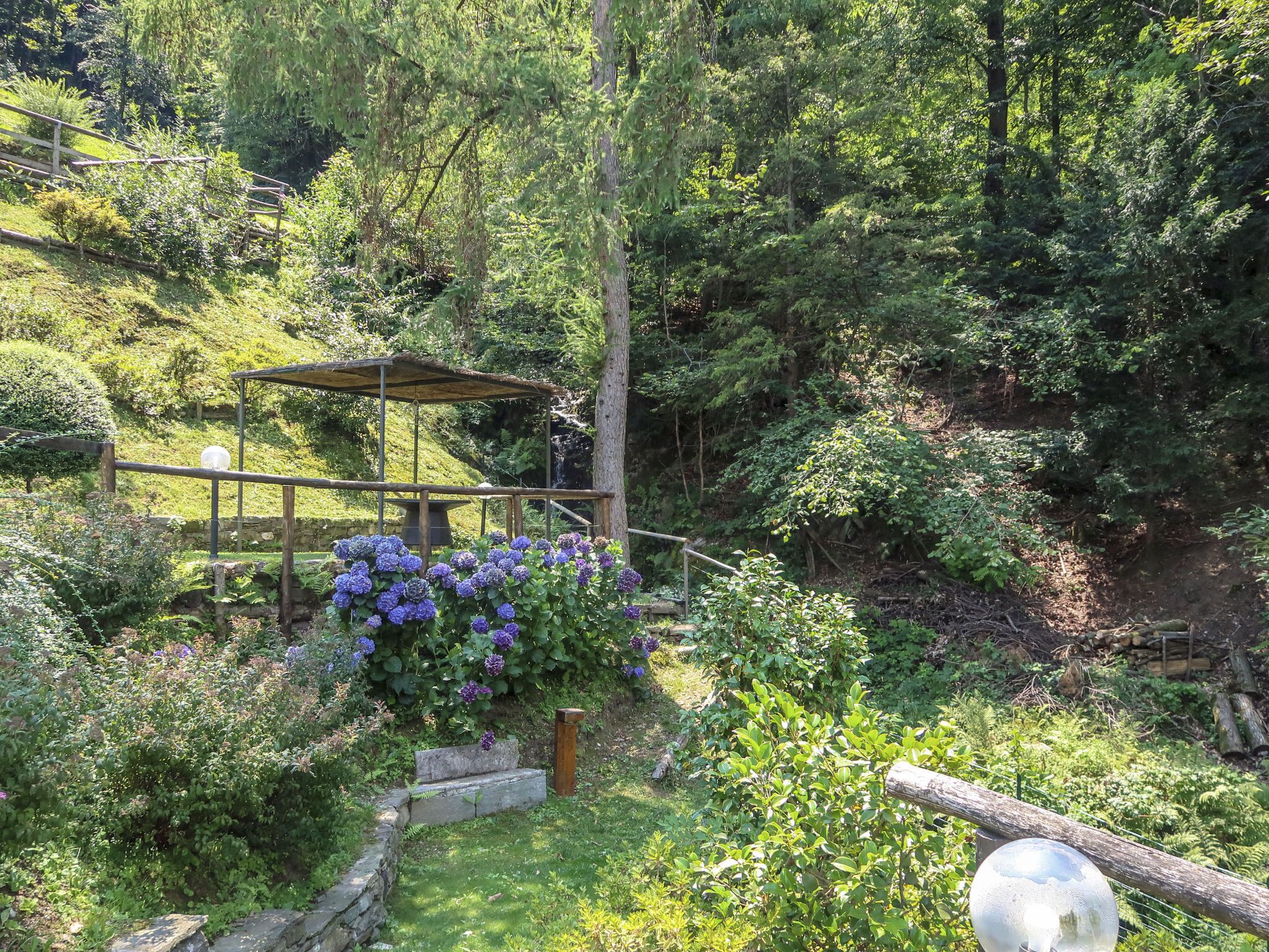 A garden with a wooden pergola, a stone bench, and a variety of plants including hydrangeas.