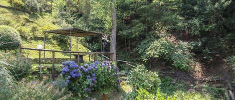 A garden with a wooden pergola, a stone bench, and a variety of plants including hydrangeas.