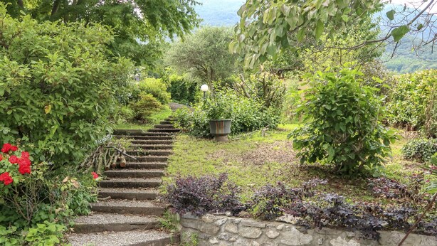 Una escalera de piedra que asciende por una colina, rodeada de vegetación exuberante y plantas en flor.