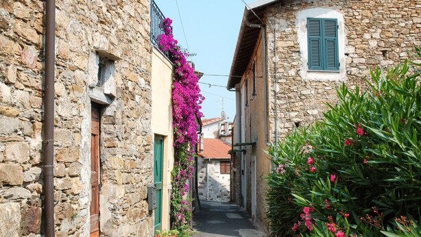 Une ruelle pavée bordée de bâtiments traditionnels aux volets fermés et agrémentée de plantes en pot.