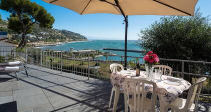 Bouganvilla (SLR402) by Interhome