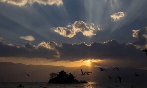 미분류 이미지, 2/51장, 버튼