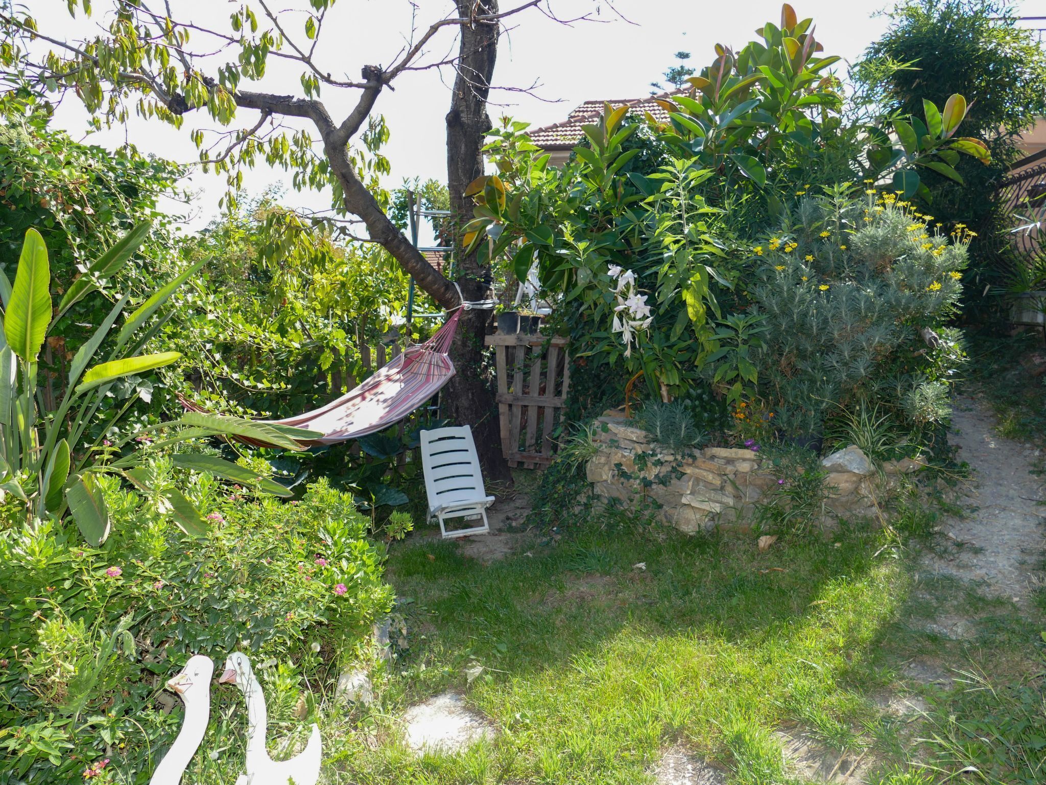 Una hamaca atada a un árbol, una silla de plástico blanca y un jardín con diversas plantas y flores.