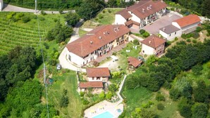 Vista aérea de una zona residencial con varias casas, una piscina y abundante vegetación.