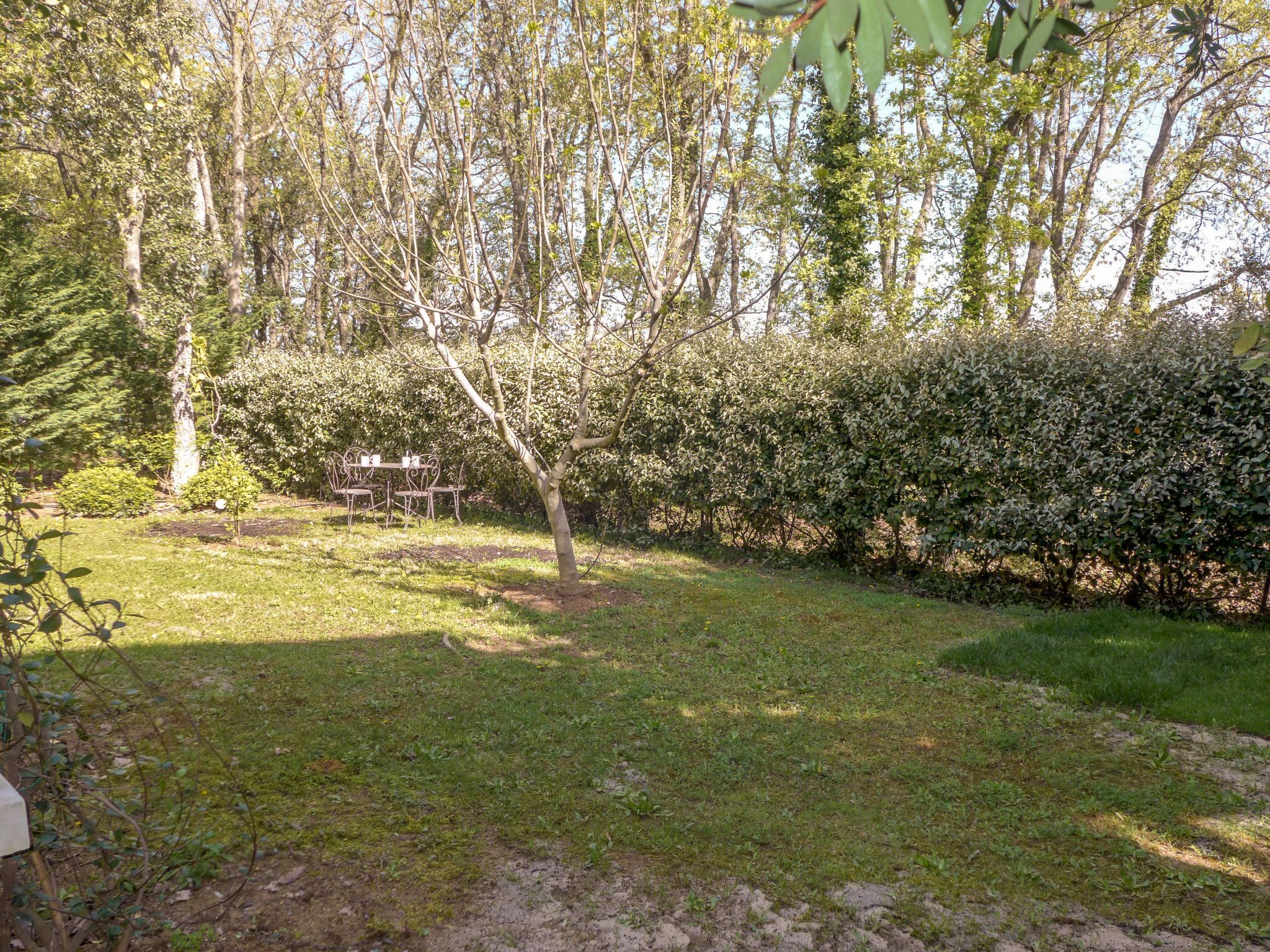 A garden with a metal table and chairs, surrounded by trees and a hedge.