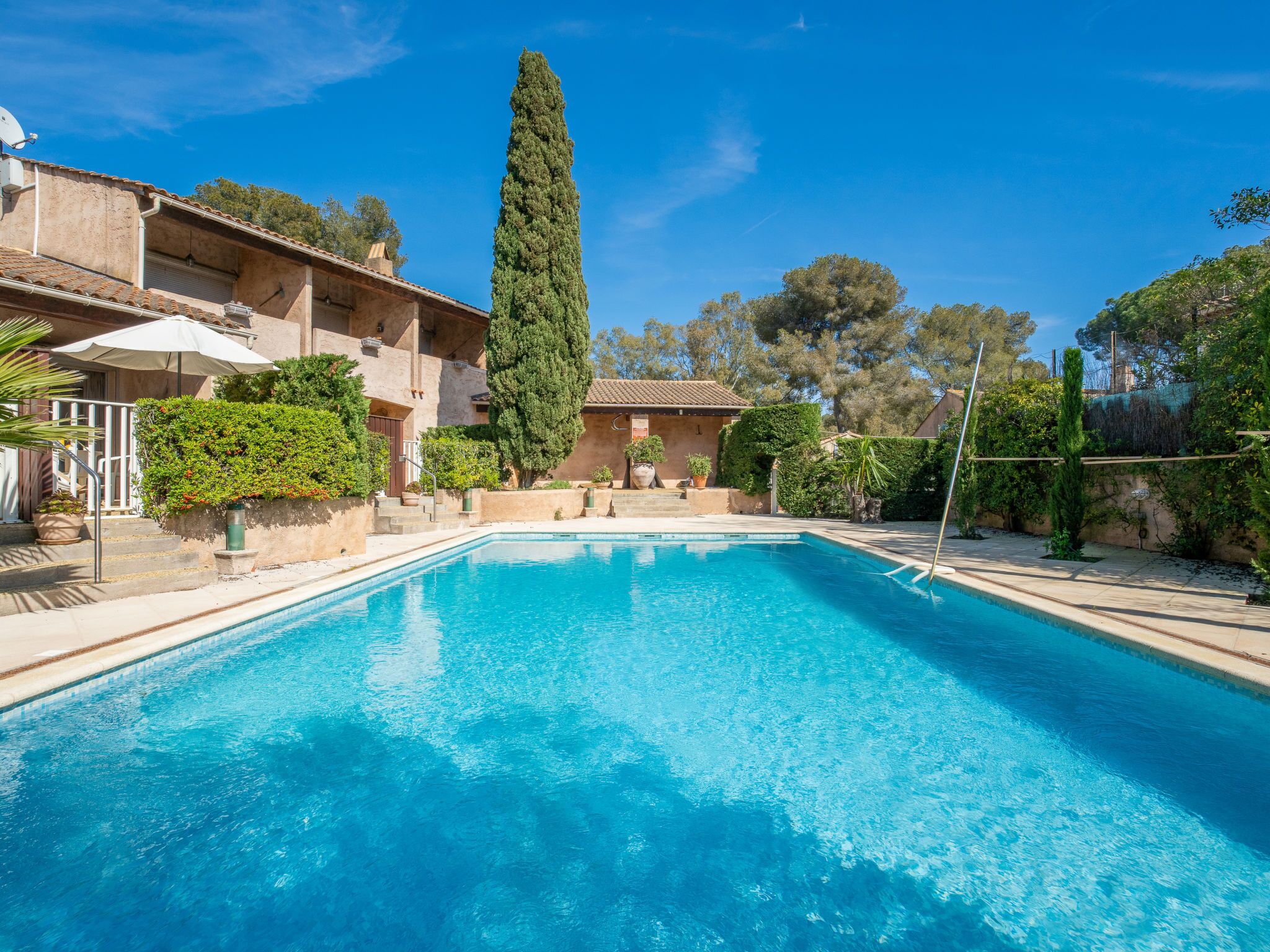 Une piscine rectangulaire à l’eau d’un bleu limpide, entourée d’un jardin aménagé avec différentes plantes et d’un grand arbre.