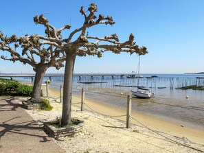 Plage à proximité