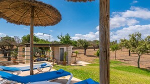 Un espace aménagé au bord de la piscine, avec des chaises longues et des parasols en chaume, un petit bâtiment et un paysage verdoyant parsemé d’arbres.