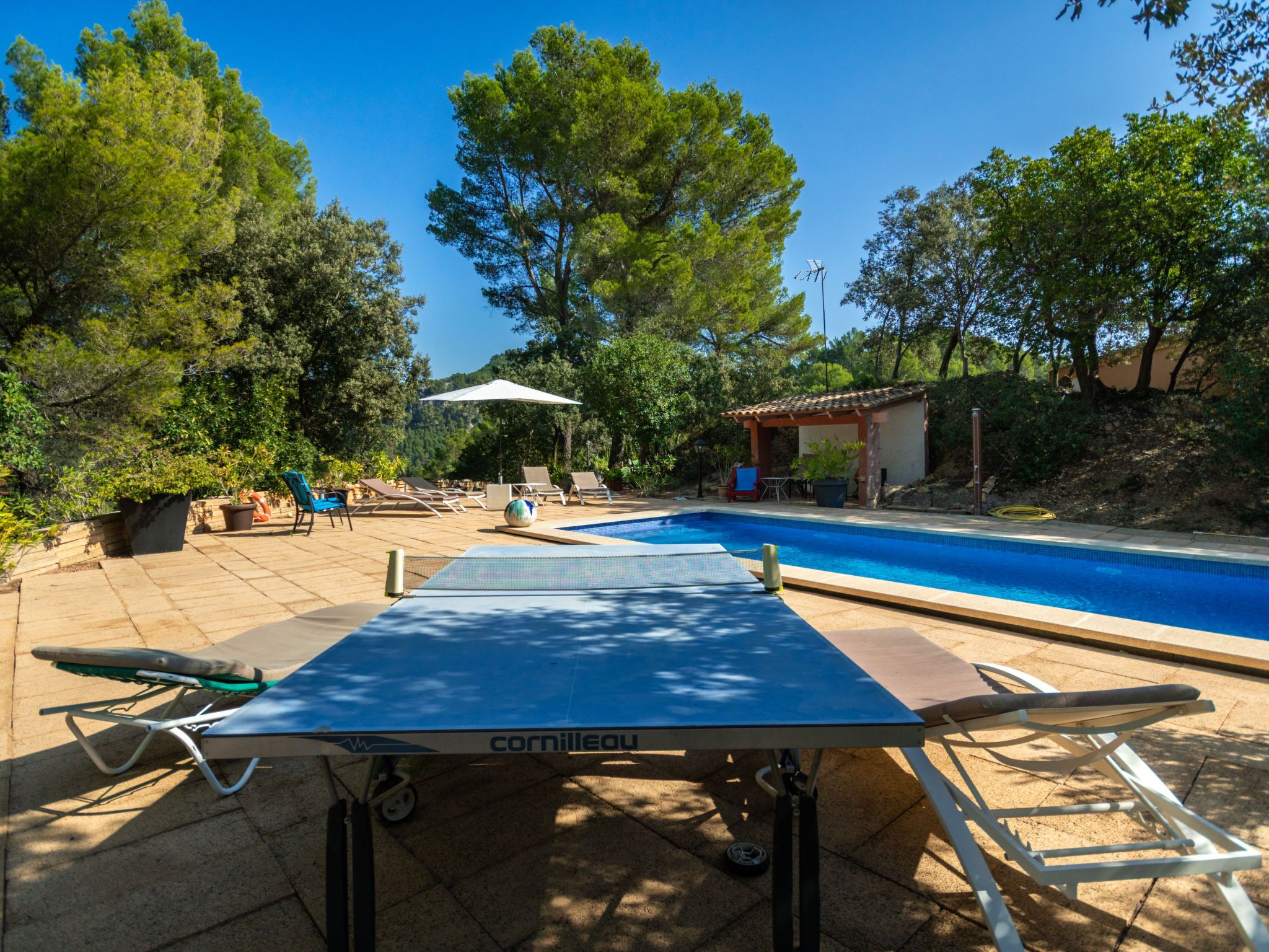 Zona de piscina con mesa de ping pong, sillas de descanso y un pequeño pabellón.