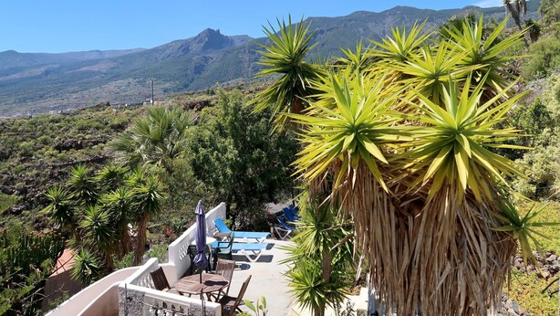 A terrace with a view of mountains, surrounded by tropical plants. - Cuevecitas by Interhome (Candelaria)