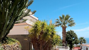 A coastal building with a white facade, a stone wall, and a palm tree in the foreground.