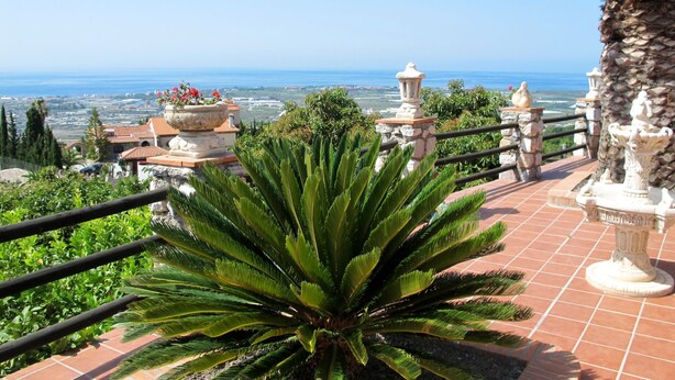 Una terraza con vista al mar, con una palmera, baranda de piedra y una urna decorativa.