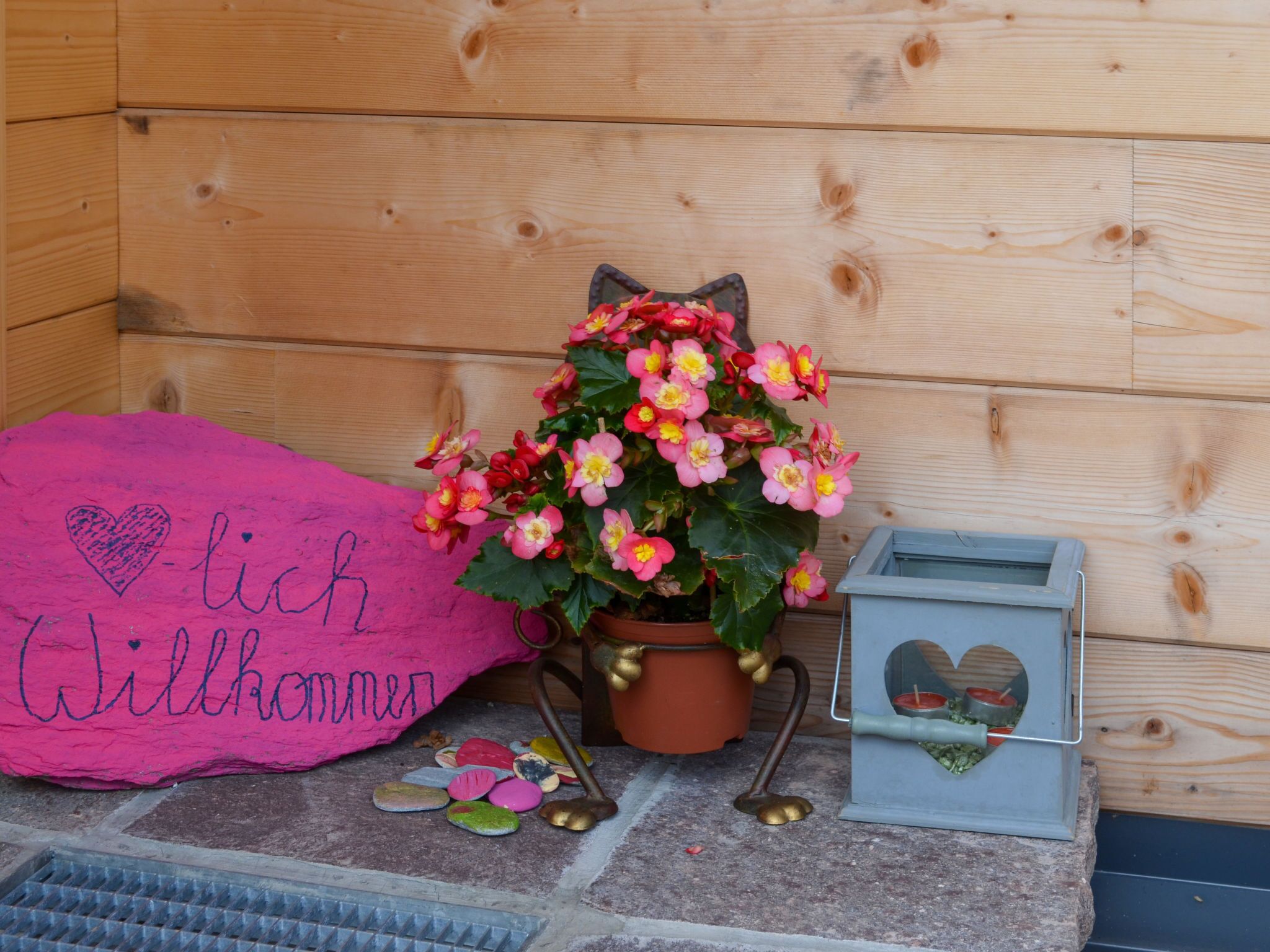 A wooden wall with a potted plant, a heart-shaped pillow, and a small blue box with a heart design.