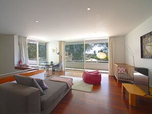 تلفزيون، مدفأة