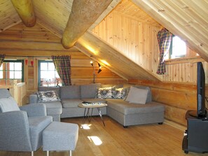 TV, fireplace, DVD player