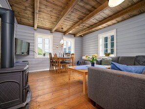 TV, fireplace, DVD player