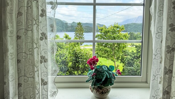 A window with a view of a lake and mountains, a potted plant on the windowsill, and curtains with a floral pattern.