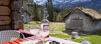 Fjellbris by Interhome