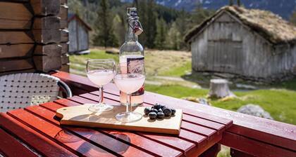 Fjellbris by Interhome