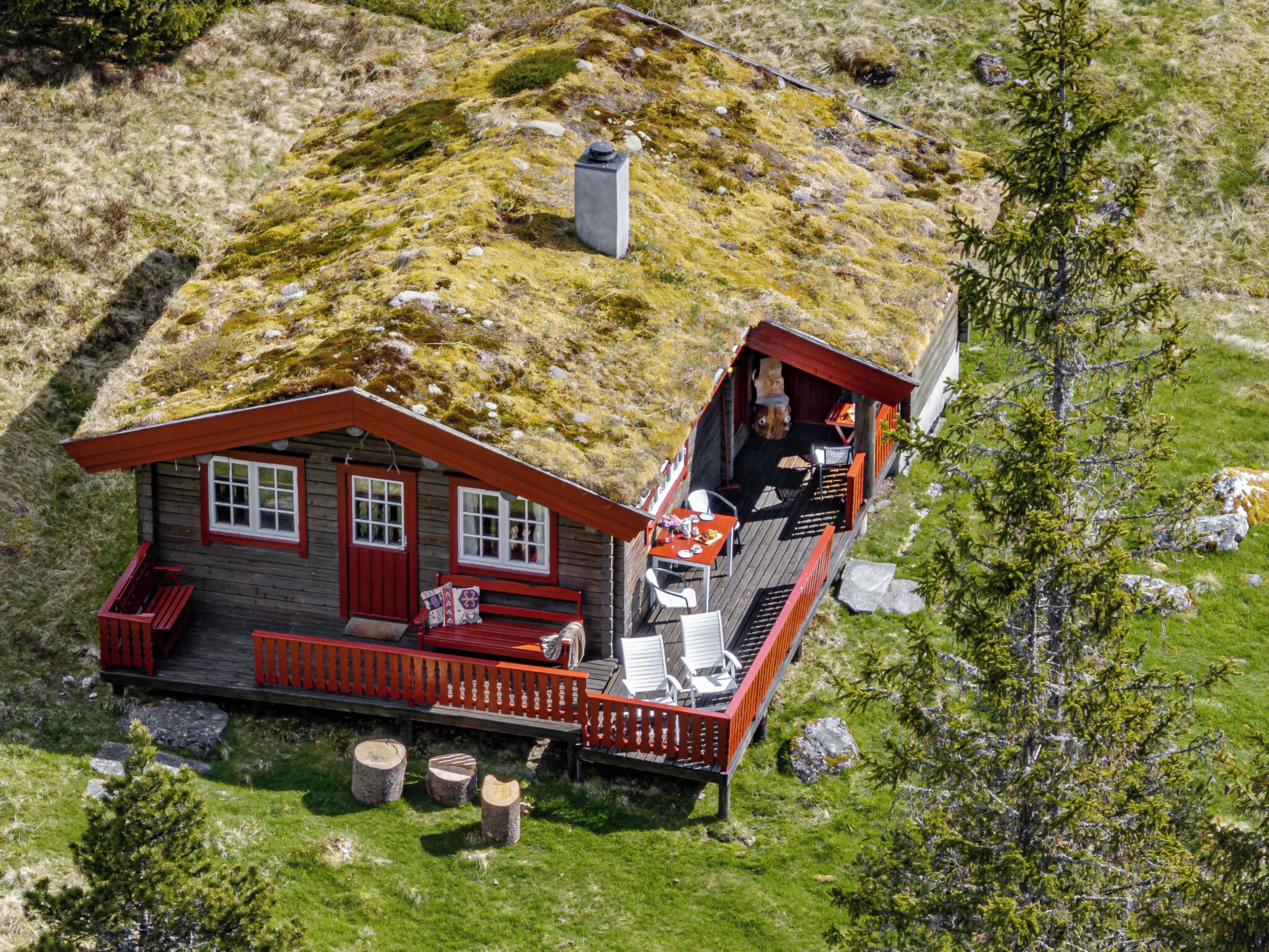 Eksteriør