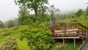 Une terrasse en bois avec un parasol violet, entourée d’une végétation luxuriante et se fondant dans un décor brumeux.
