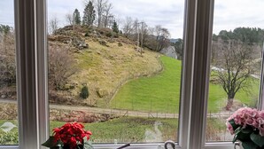 Une vue à travers une fenêtre, avec un vase de fleurs rouges et un vase en forme de cygne posé sur le rebord de la fenêtre.