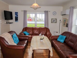 TV, lareira, DVD player