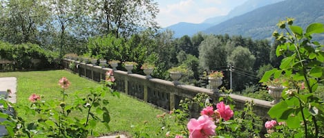 A garden with a stone balustrade, lush greenery, and pink flowers.