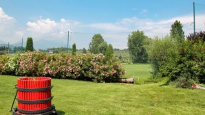 A grassy field with a red cylindrical object, trees, and a clear sky. - Il Colombaro by Interhome (Salo')