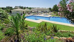 Una amplia piscina con varias secciones, rodeada de céspedes cuidados y plantas con flores.