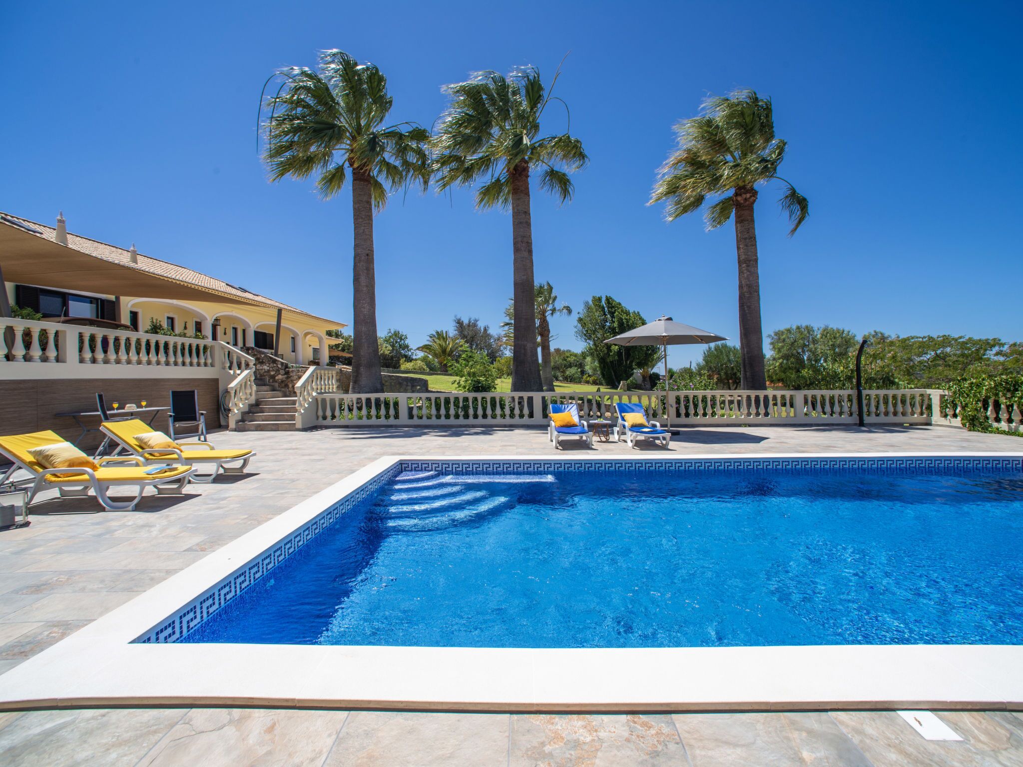 A pool area with lounge chairs and palm trees.
