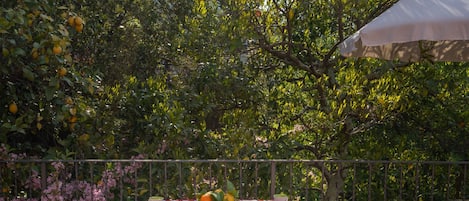 An outdoor dining area with a checkered tablecloth, surrounded by lush greenery and a metal fence.