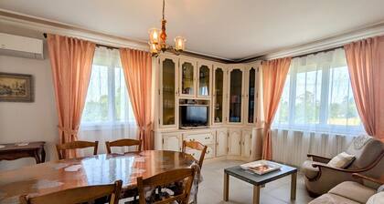 Maison rénovée avec jardin privatif, proche chùteaux et ZooParc de Beauval, Argy