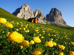 Terrain de l’hébergement 