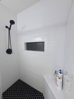 Shower, hair dryer