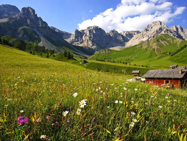 Un paysage montagneux avec un chalet rouge au premier plan et des pics rocheux en arrière-plan.