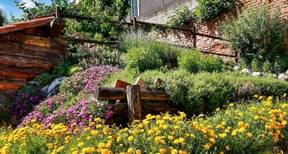 Il Ghiro by Interhome