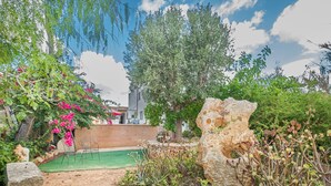 A garden with a green lawn, a stone bench, and various plants including cacti and flowering shrubs. - Sa Rossa by Interhome (Llombards/C.Llombards/C.S'Almonia)
