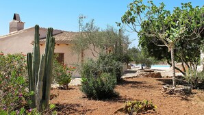 A desert garden with cacti, a small tree, and a building with a tiled roof.