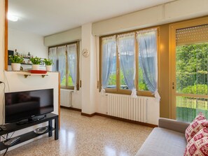 Téléviseur, foyer