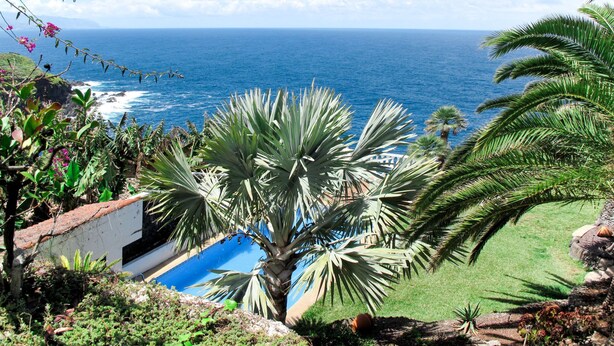 Piscina amb vistes a l'oceà, envoltada de plantes tropicals i palmeres.